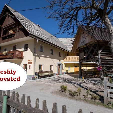 Farmhouse Pri Miklavu Bohinj Exterior photo