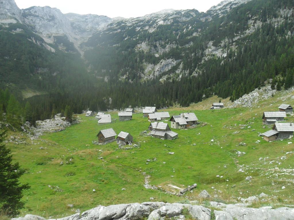 Farmhouse Pri Miklavu Bohinj Exterior photo