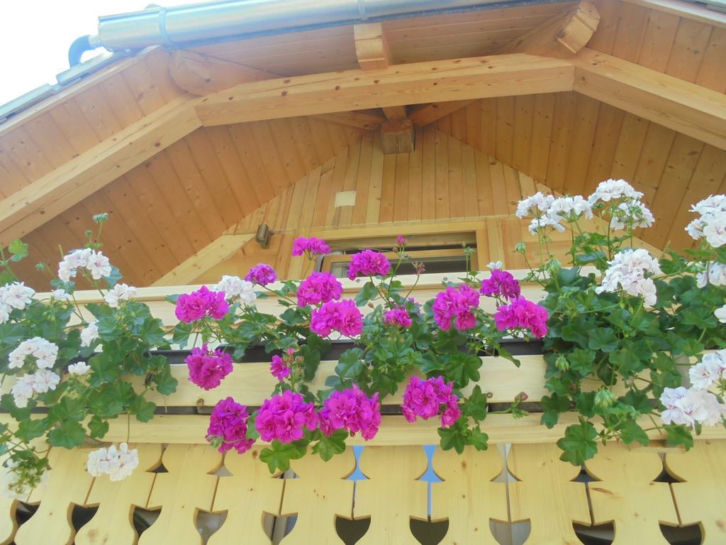 Farmhouse Pri Miklavu Bohinj Exterior photo