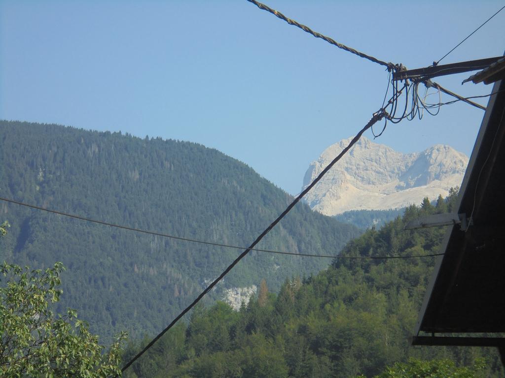 Farmhouse Pri Miklavu Bohinj Exterior photo