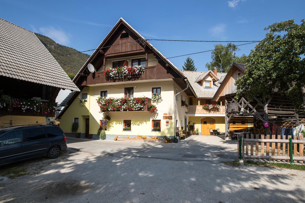 Farmhouse Pri Miklavu Bohinj Exterior photo