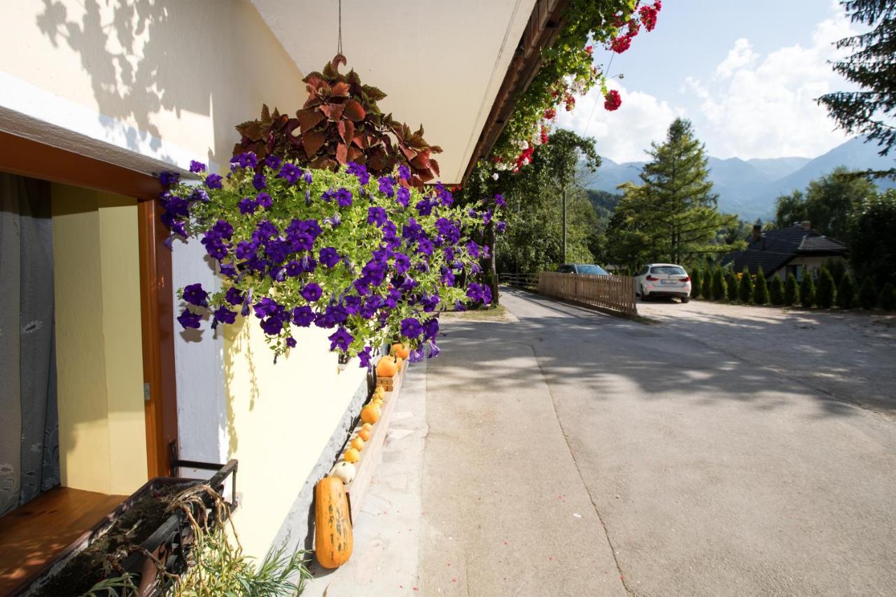 Farmhouse Pri Miklavu Bohinj Exterior photo