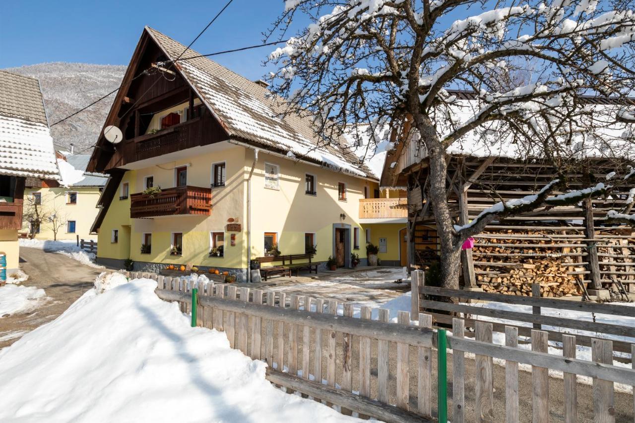 Farmhouse Pri Miklavu Bohinj Exterior photo