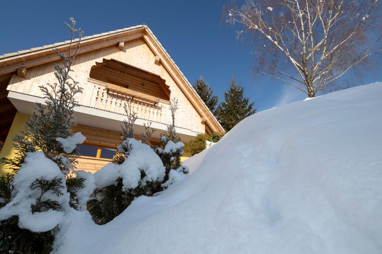 Farmhouse Pri Miklavu Bohinj Exterior photo